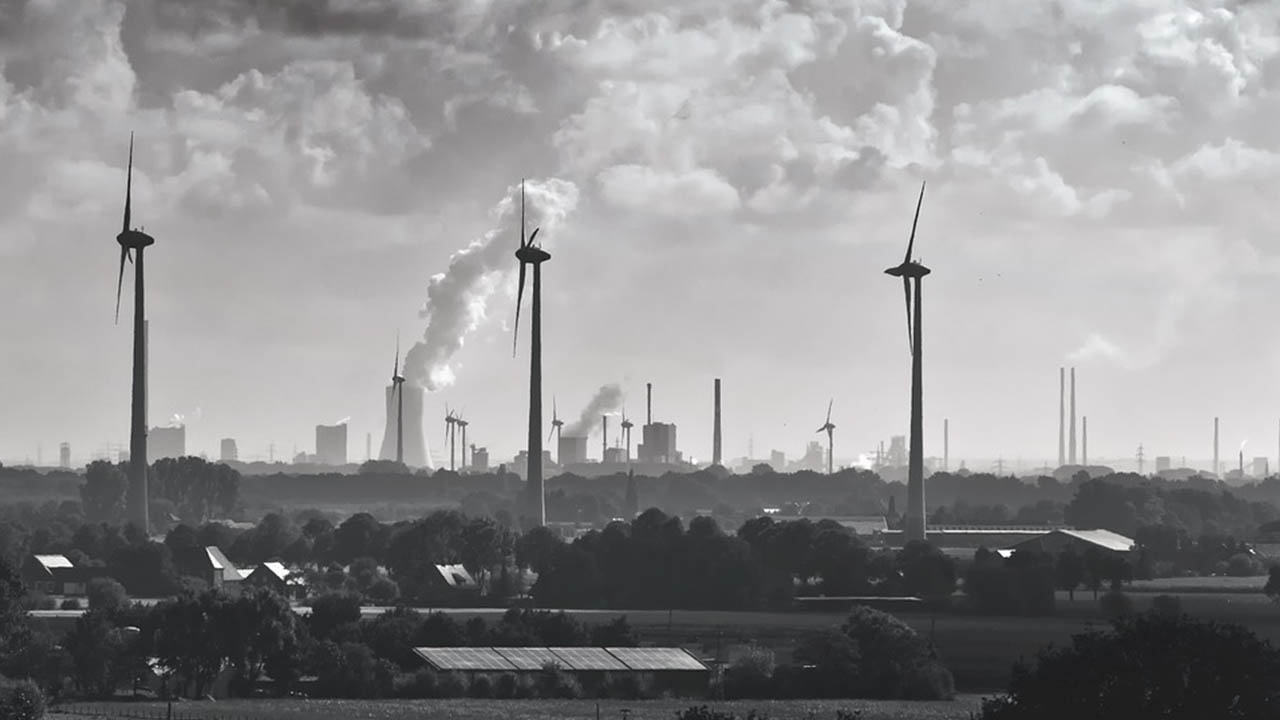 Power plant and wind turbines