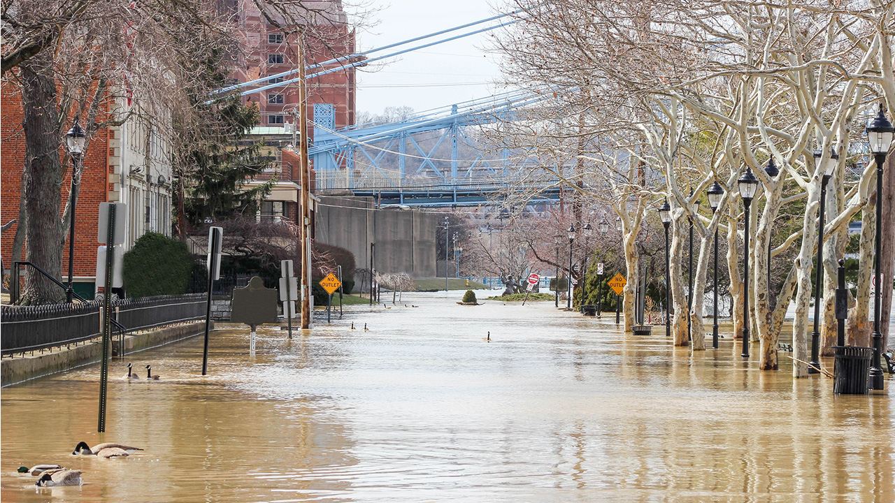 Flooded city