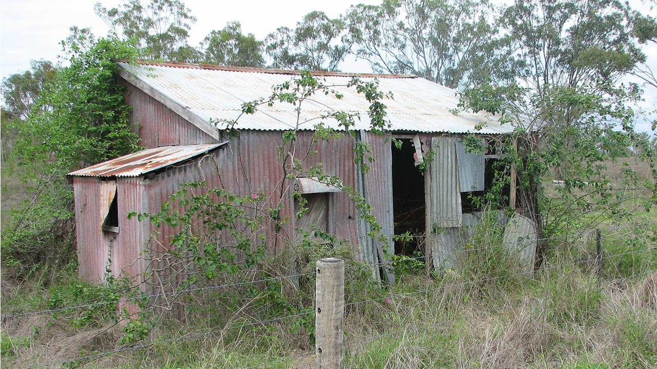 Tin shack