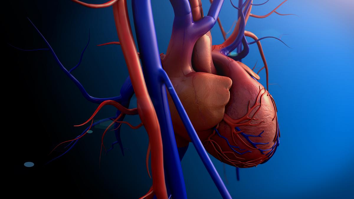 graphic of heart