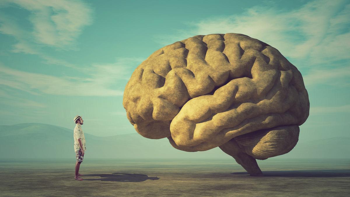 Graphic of a large brain standing in the landscape